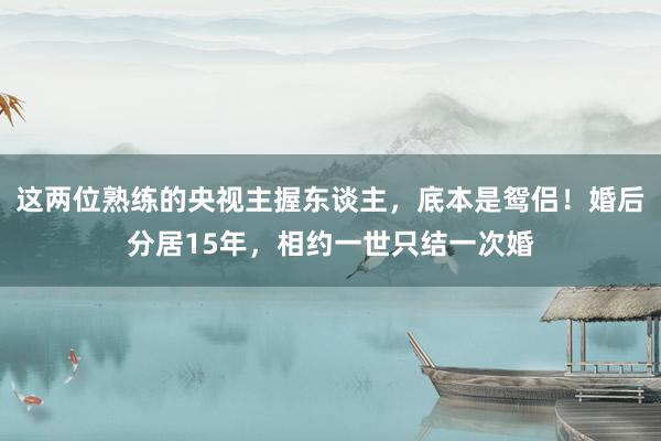 这两位熟练的央视主握东谈主，底本是鸳侣！婚后分居15年，相约一世只结一次婚