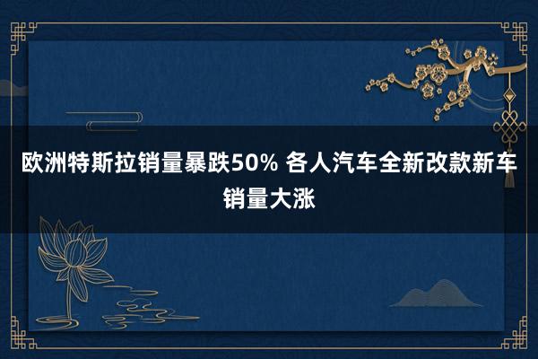 欧洲特斯拉销量暴跌50% 各人汽车全新改款新车销量大涨