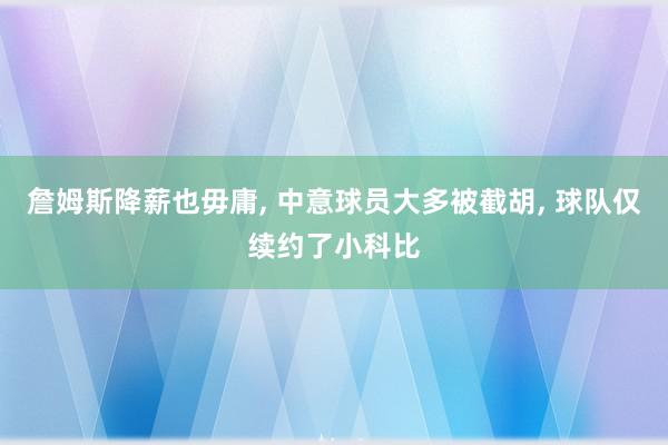 詹姆斯降薪也毋庸, 中意球员大多被截胡, 球队仅续约了小科比