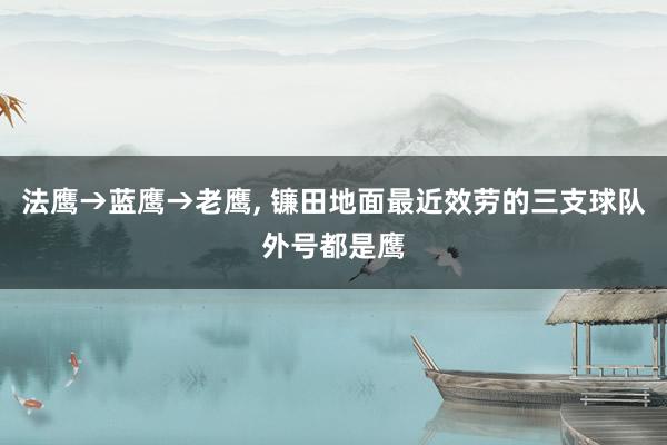 法鹰→蓝鹰→老鹰, 镰田地面最近效劳的三支球队外号都是鹰