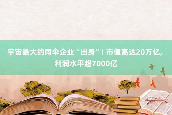 宇宙最大的雨伞企业“出身”! 市值高达20万亿, 利润水平超7000亿