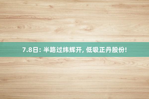 7.8日: 半路过纬辉开, 低吸正丹股份!