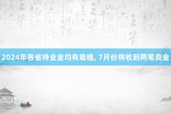 2024年各省待业金均有栽植, 7月份将收到两笔资金