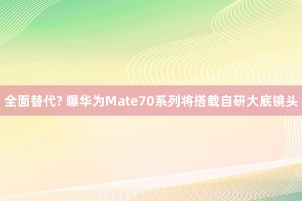 全面替代? 曝华为Mate70系列将搭载自研大底镜头