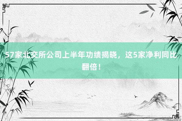 57家北交所公司上半年功绩揭晓，这5家净利同比翻倍！