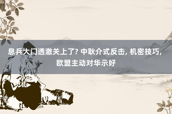 息兵大门透澈关上了? 中耿介式反击, 机密技巧, 欧盟主动对华示好