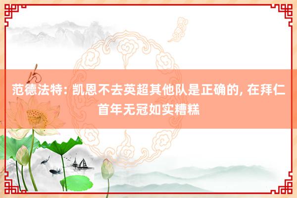 范德法特: 凯恩不去英超其他队是正确的, 在拜仁首年无冠如实糟糕