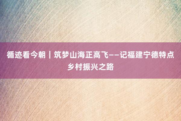 循迹看今朝｜筑梦山海正高飞——记福建宁德特点乡村振兴之路