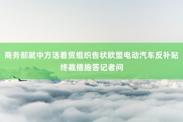 商务部就中方活着贸组织告状欧盟电动汽车反补贴终裁措施答记者问