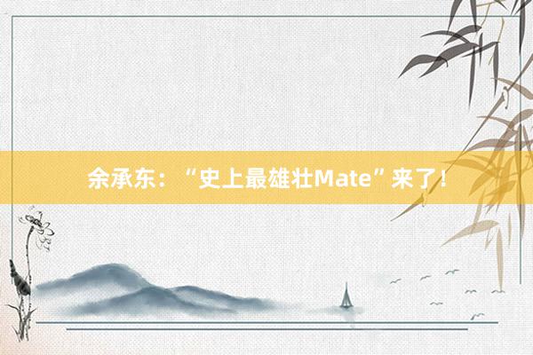 余承东：“史上最雄壮Mate”来了！