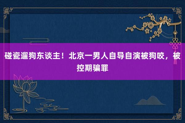 碰瓷遛狗东谈主！北京一男人自导自演被狗咬，被控期骗罪