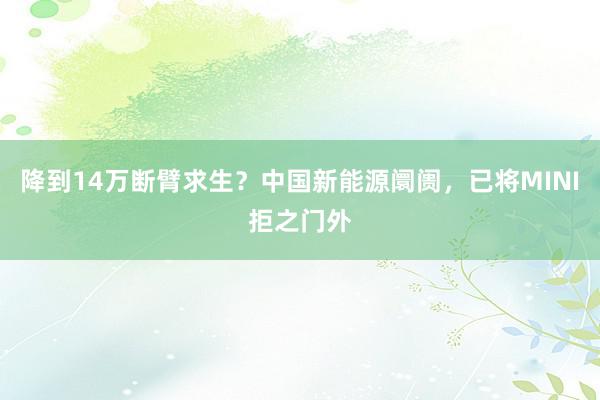 降到14万断臂求生？中国新能源阛阓，已将MINI拒之门外